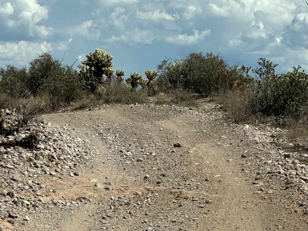 AR-LO Trail photo 4