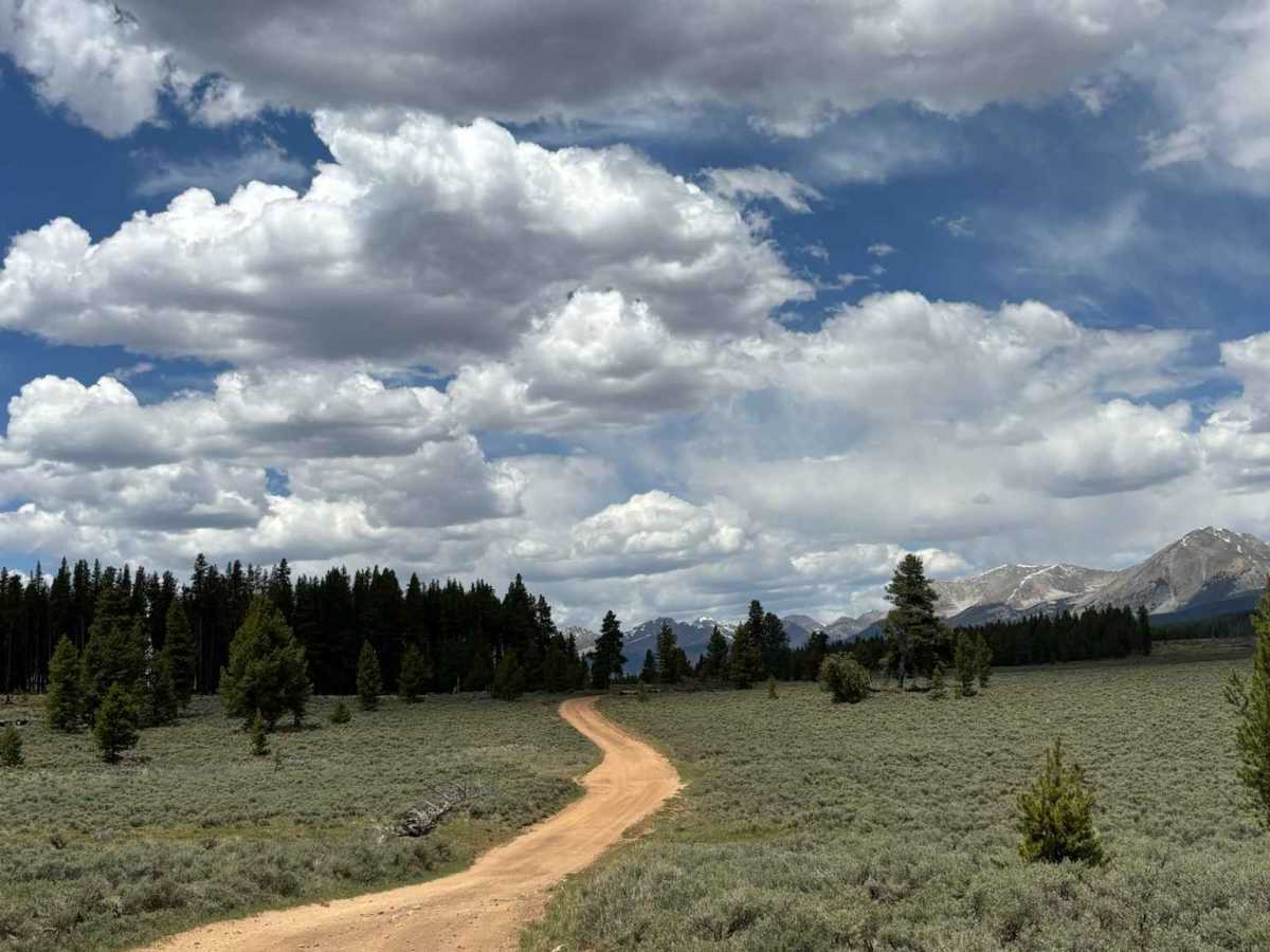 Upper Bull Road photo 4