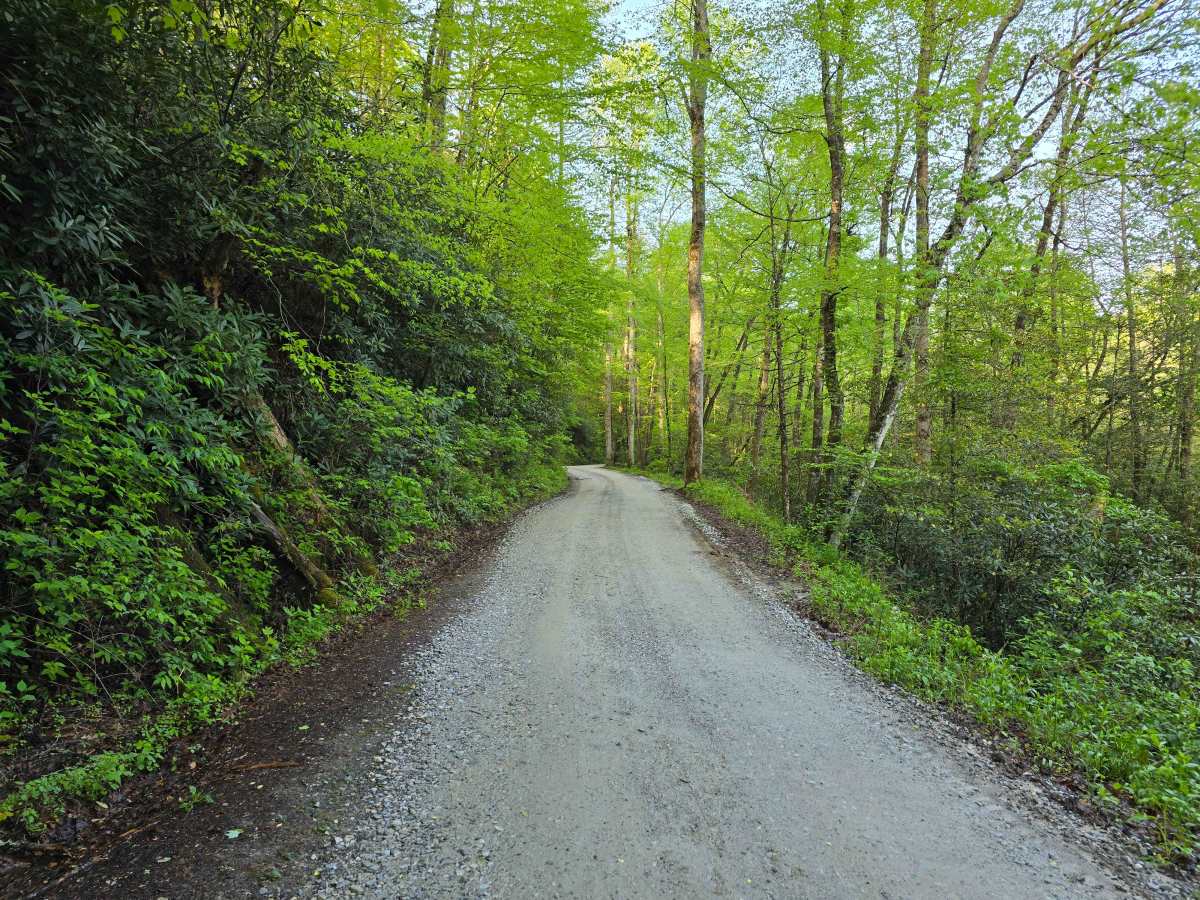 Little Snowbird Road photo 3