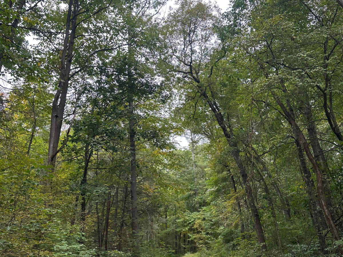 Brandywine Range trail photo