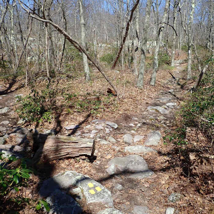 Near West Ridge Loop