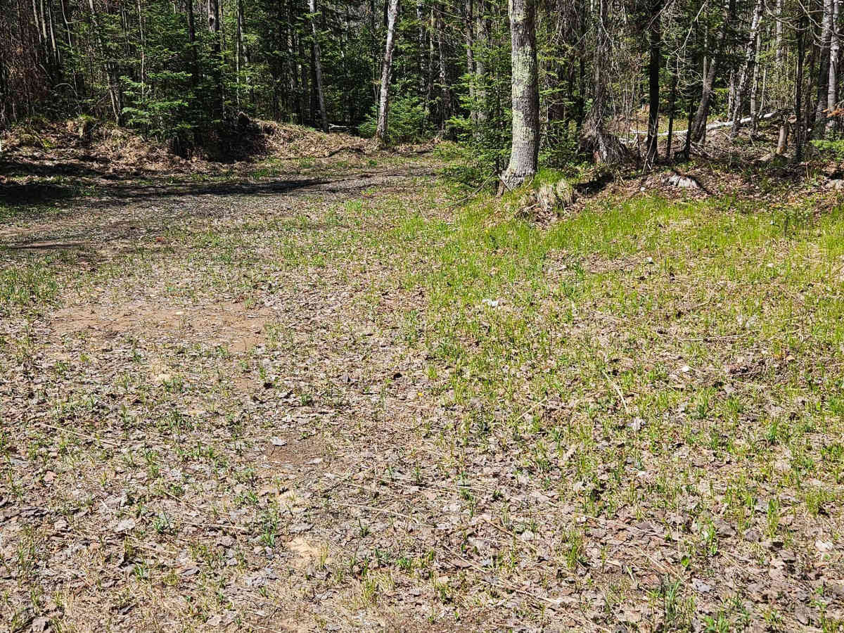 Stoney Creek Loop photo 4