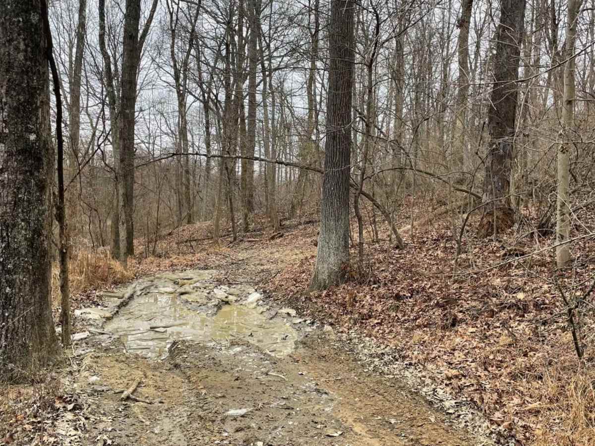 Redbird Trail 5x photo 5