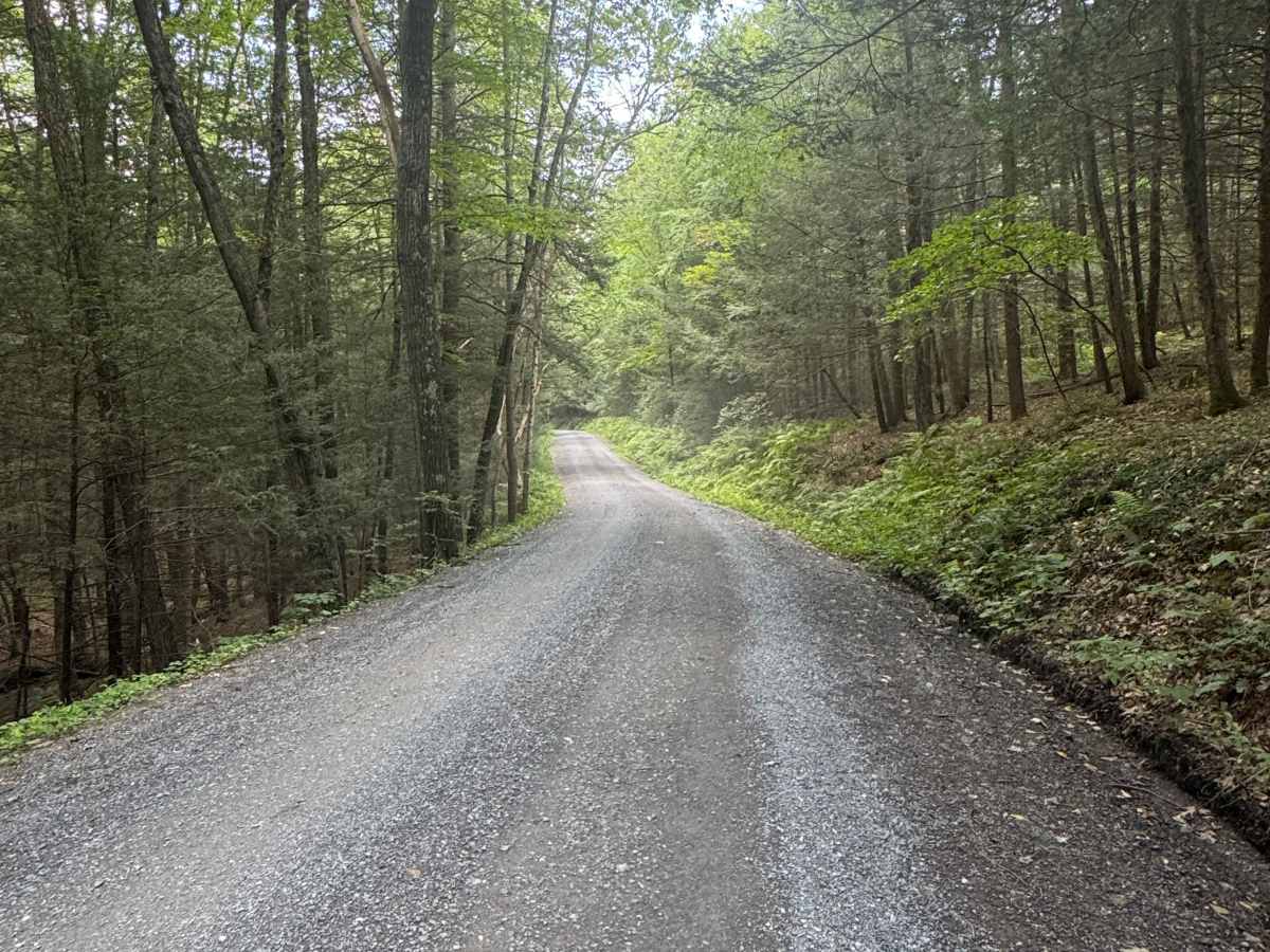 Lower Pine Bottom Road photo 5