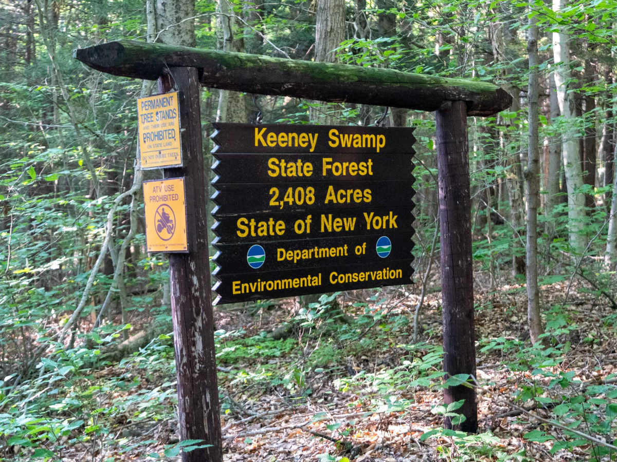 Fitch Hill Forest Road photo 4