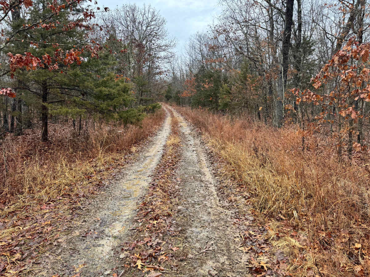 FS 1705 trail photo