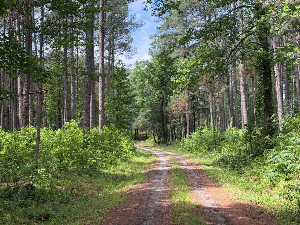 Beaver Pond Road photo 5