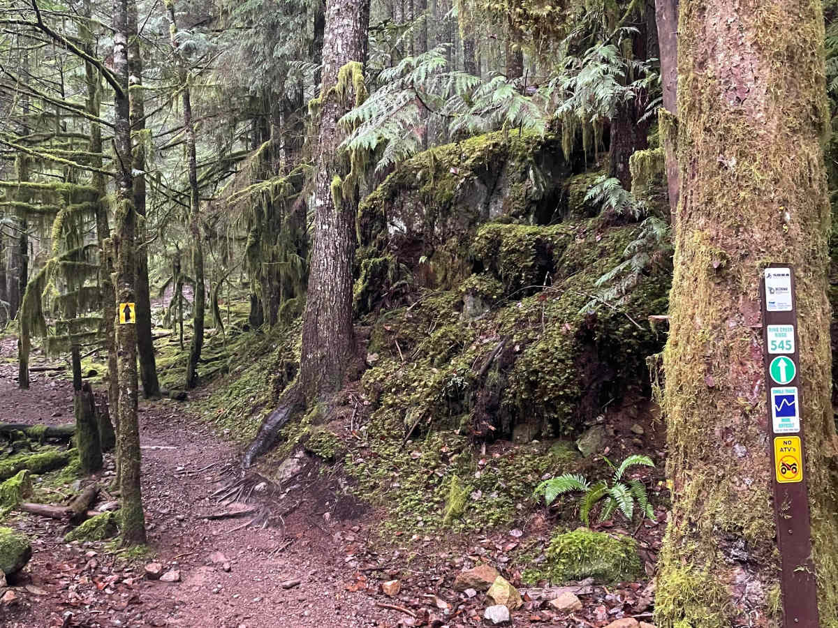 Ring Creek Ridge photo 4