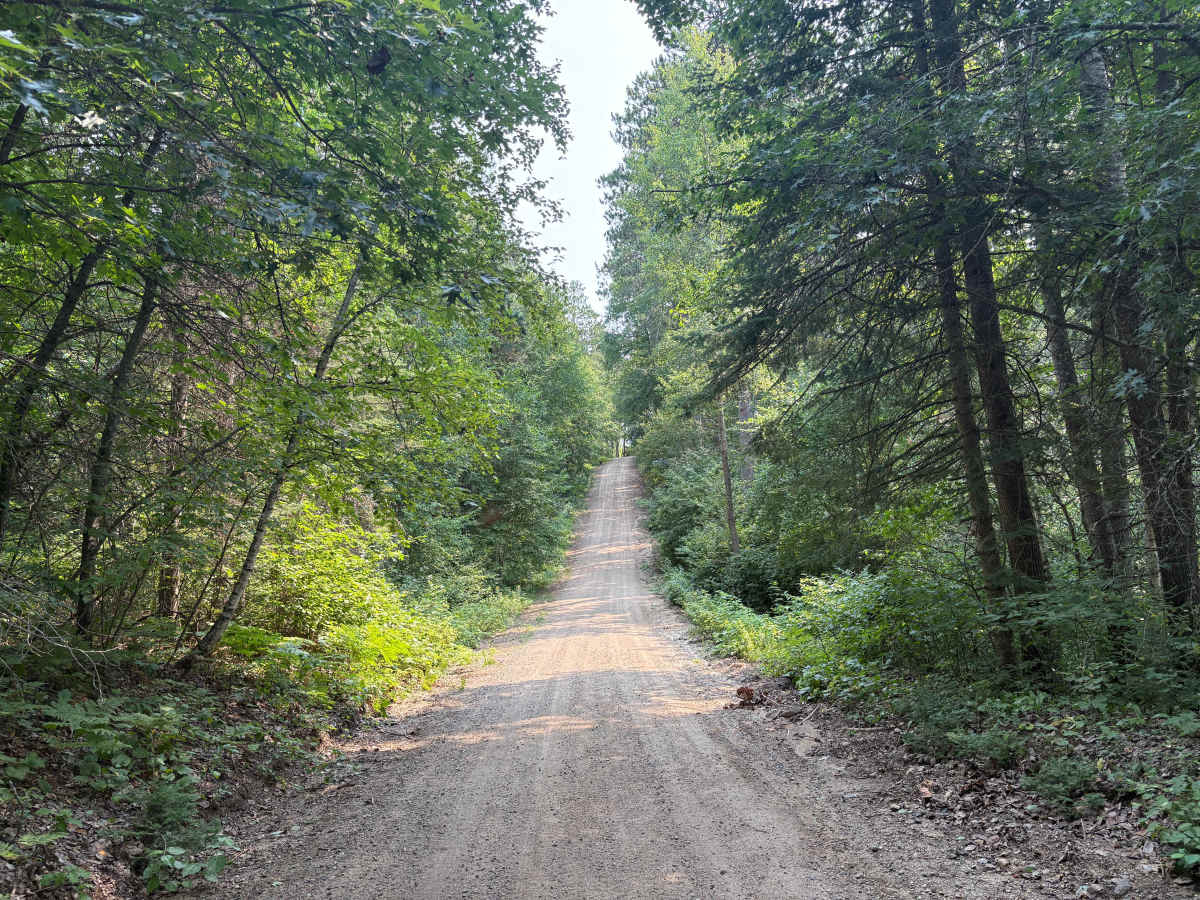 North Two Inlets Forest Road photo 3