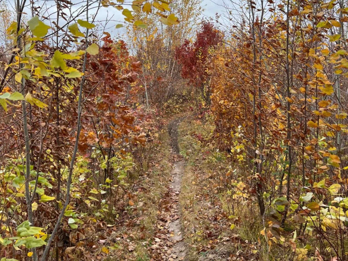 Paul Bunyan North Loop Saga photo 5