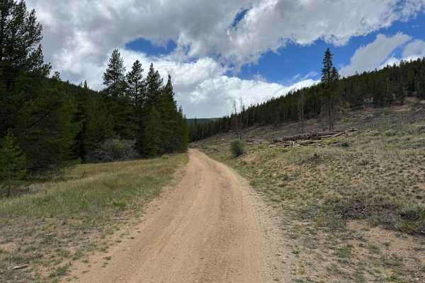 Kevin Gulch Road