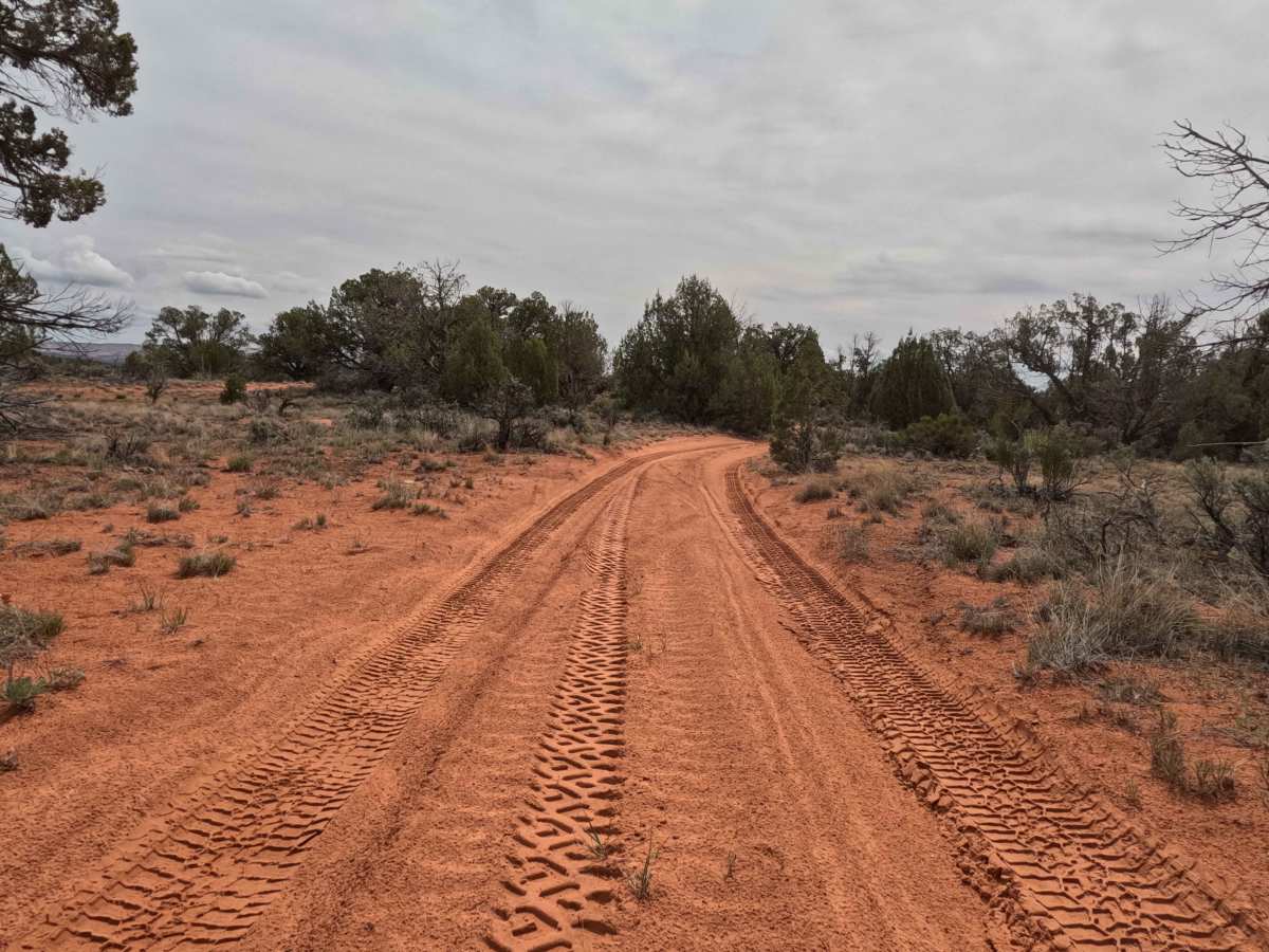 BLM 64J photo 4