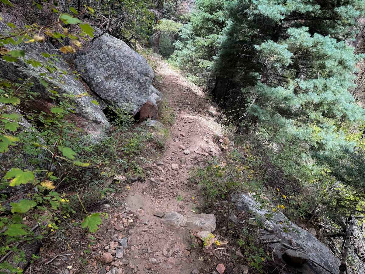 Lion Canyon Trail 1329  photo 3