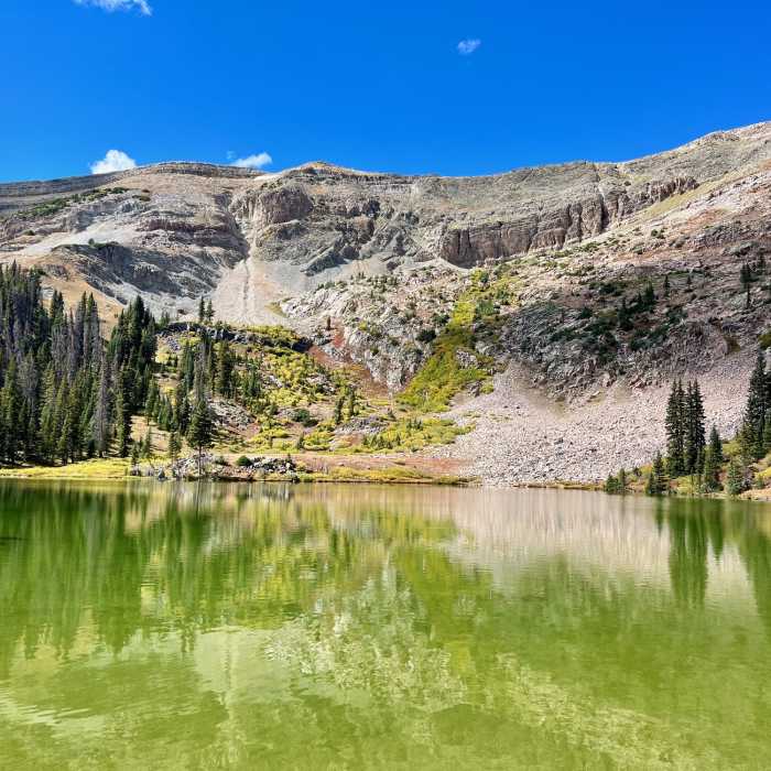 Near Mill Lake Out and Back