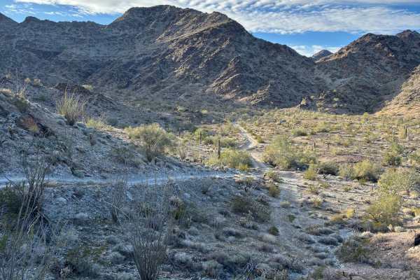 KOFA View