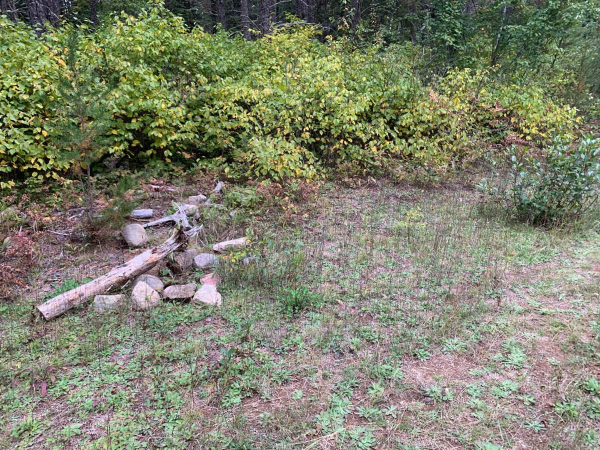 Jackpine Trail - FS 173K photo 6