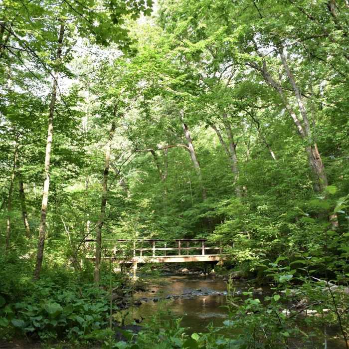 Seidman Park" courtesy of Kent County Parks Department. Near Seidman Park Outside Loop