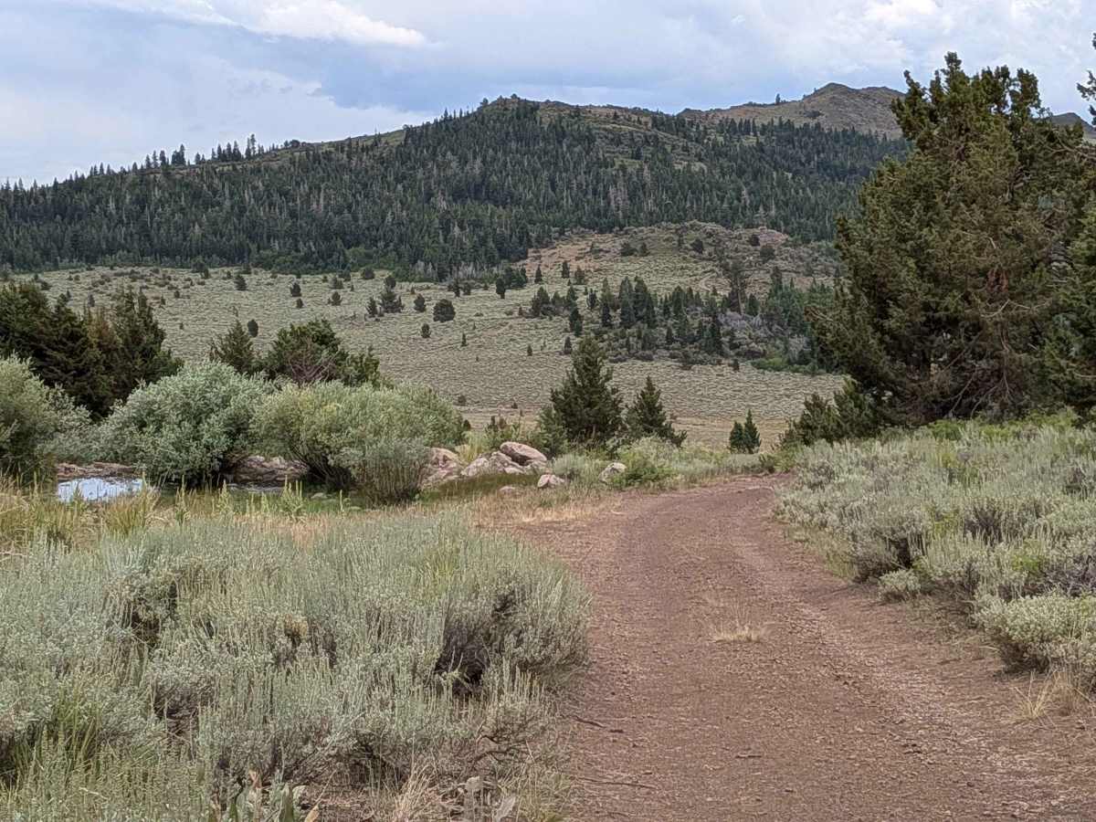 Pass Spur Road - FS 3108B photo 5