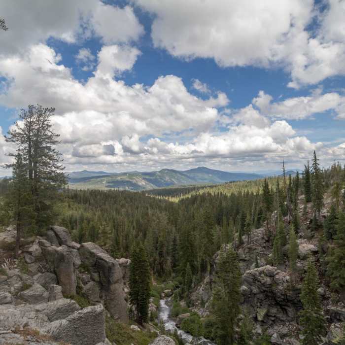 Near Kings Creek Falls Out and Back