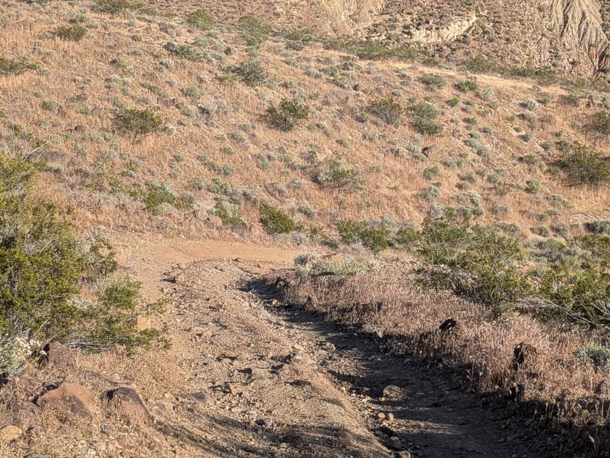 BLM EP499 photo 5