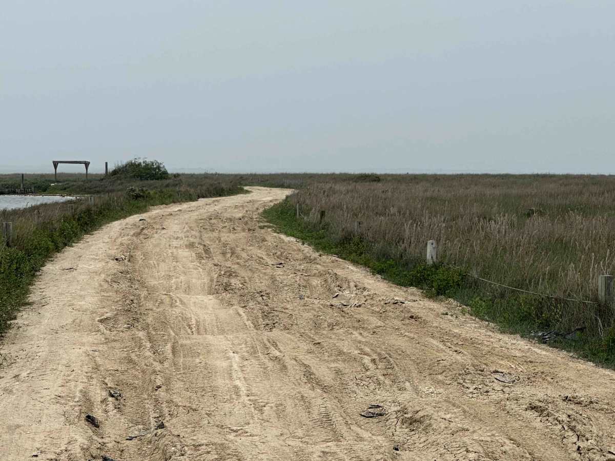 Yarborough Pass photo 6