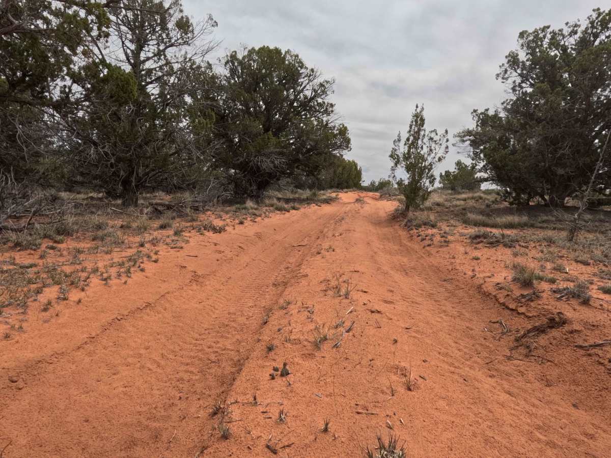 BLM 61E photo 5