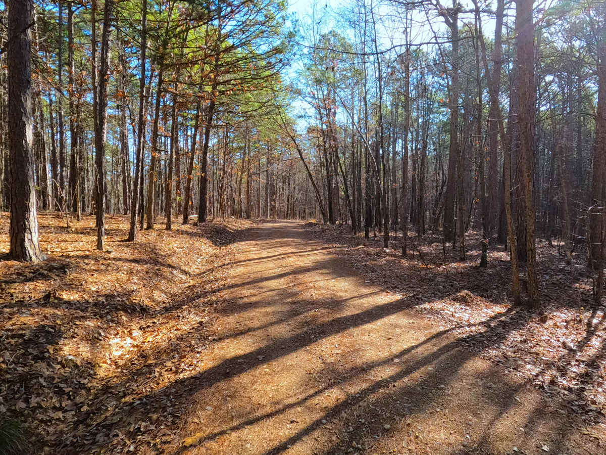 Peas Hollow - FS 421 photo 4
