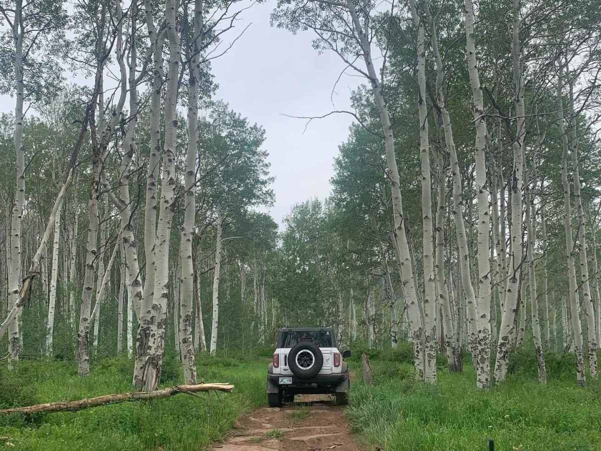 Metcalf Creek Road trail photo