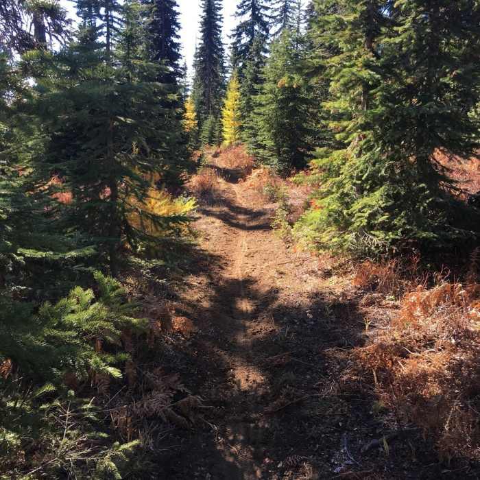 Southern section of Eagle Ridge Trail Near Eagle Ridge Trail #3232