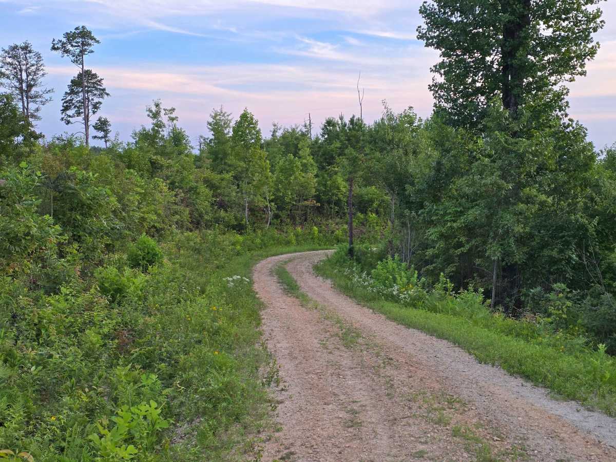 Chambers Branch - FS 736 photo 5