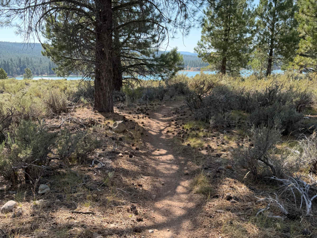 Poor Billy Trail photo 4