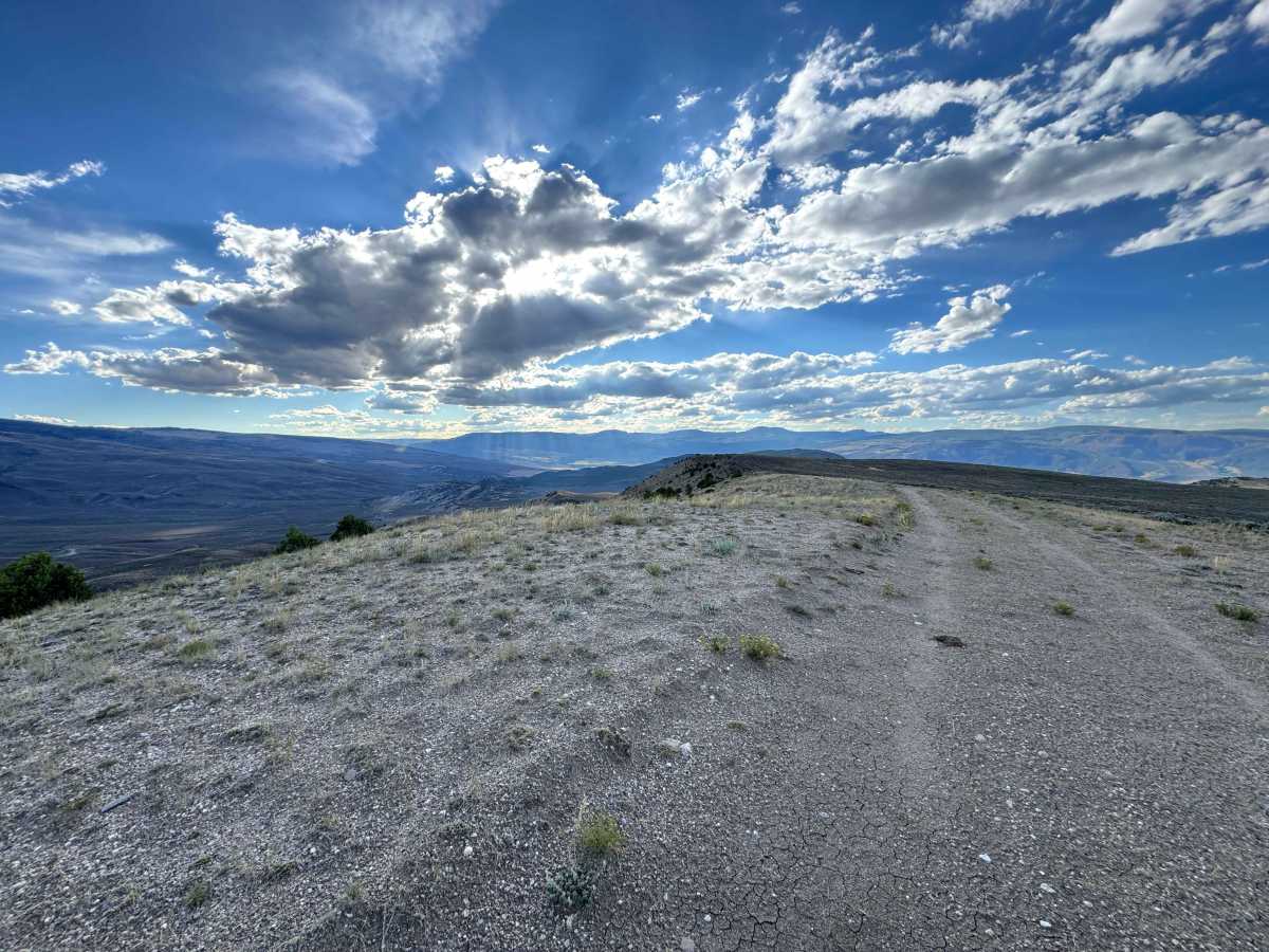 BLM 8530  photo 5