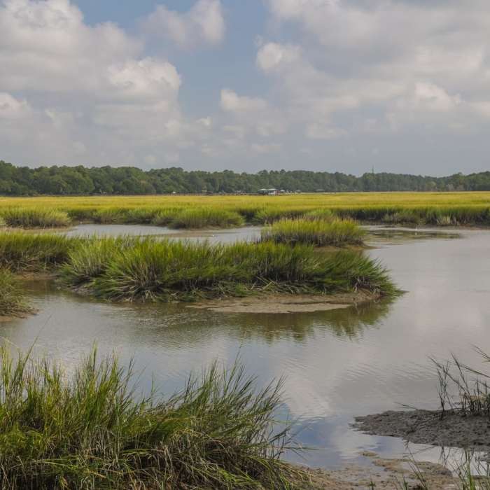 Near Battery Trail Near Battery Trail