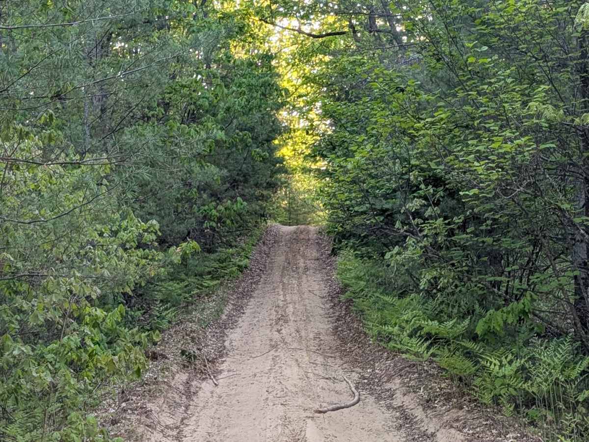 County Line Road Southeast trail photo