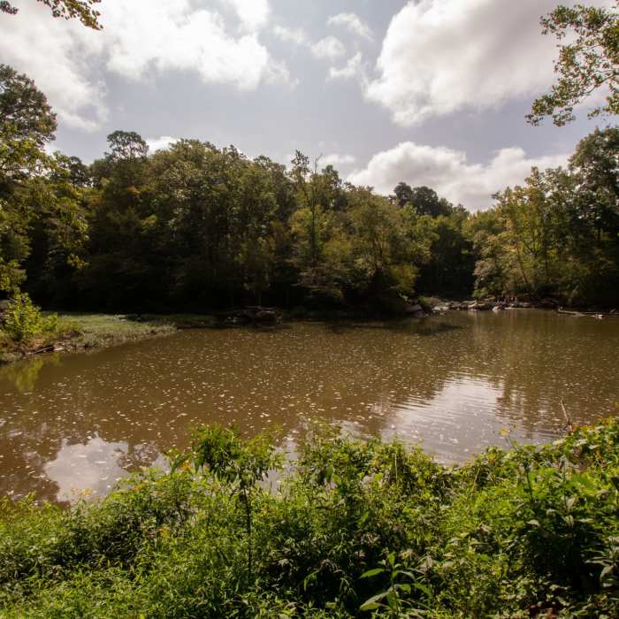Near Laurel Bluff Trail (Central)