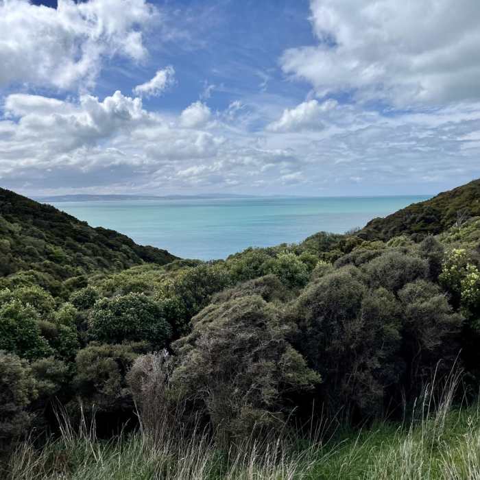 Near Nugget Point Lighthouse Near Nugget Point Lighthouse
