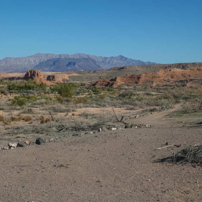 Near Shoreline Trail