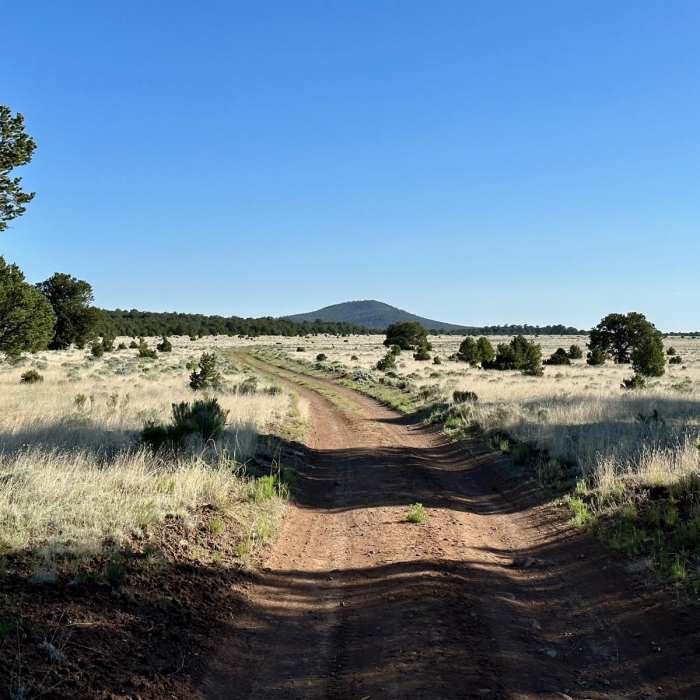 Near CDT: New Mexico Section 22 Near CDT: New Mexico Section 22