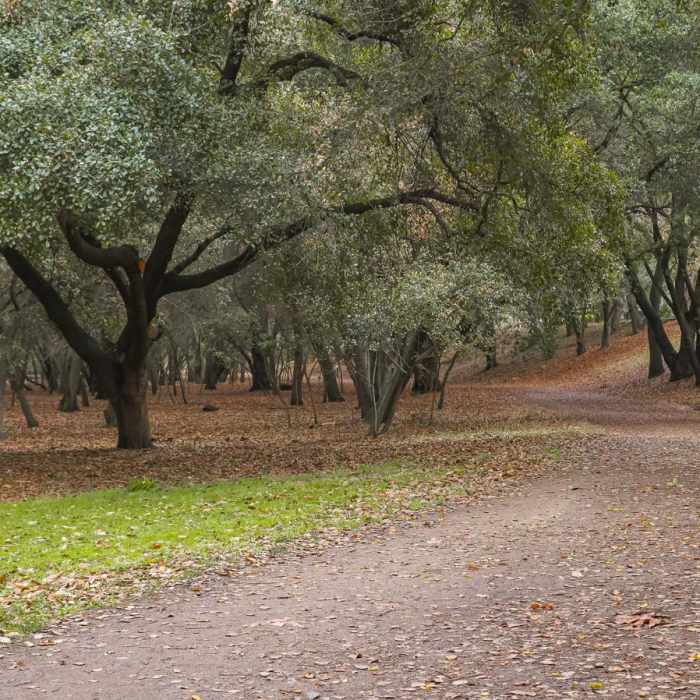 Near Lodi Lake Nature Loop