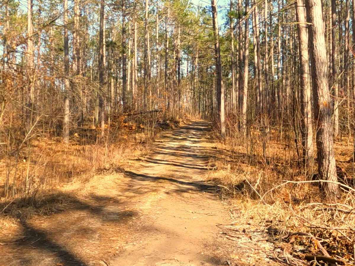 Summers Road - FS 4451 photo 5
