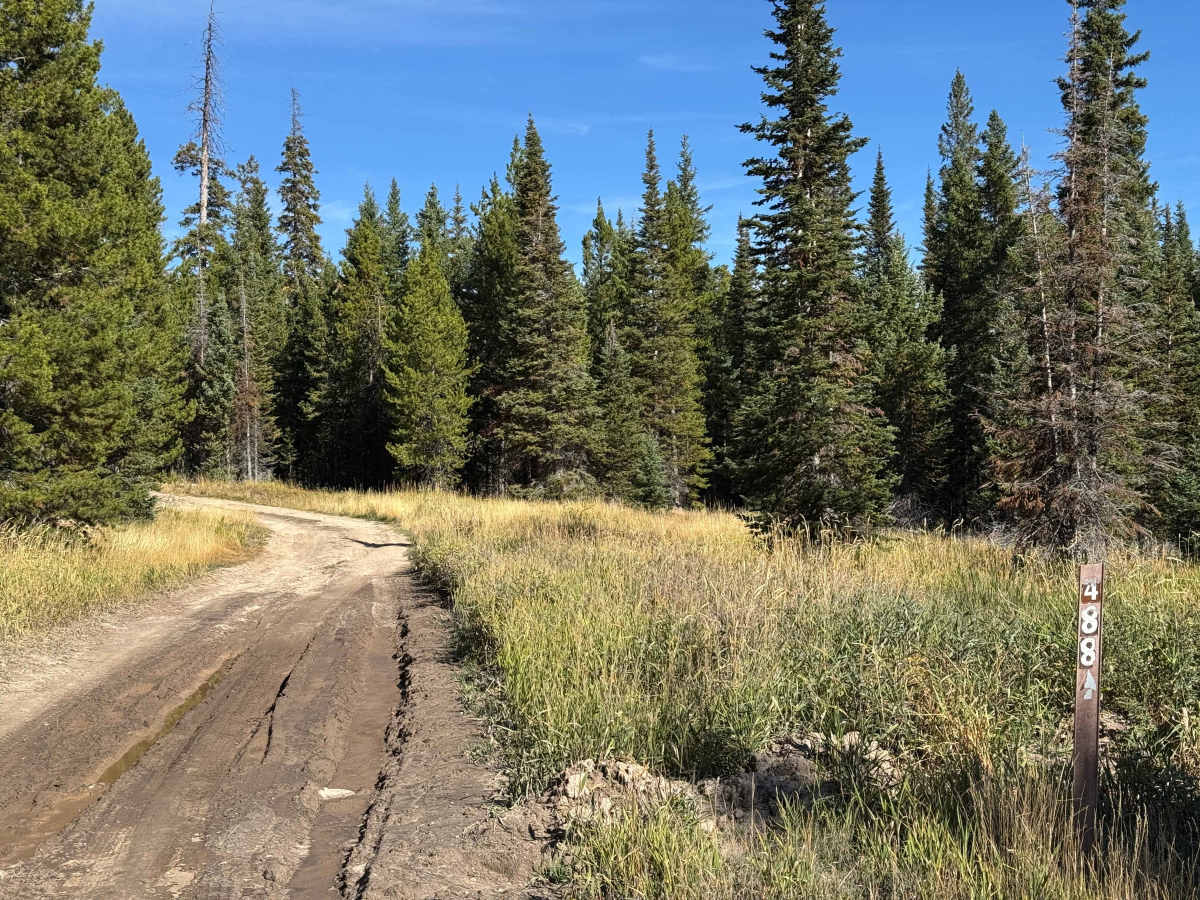 Iron Mountain Road photo 5
