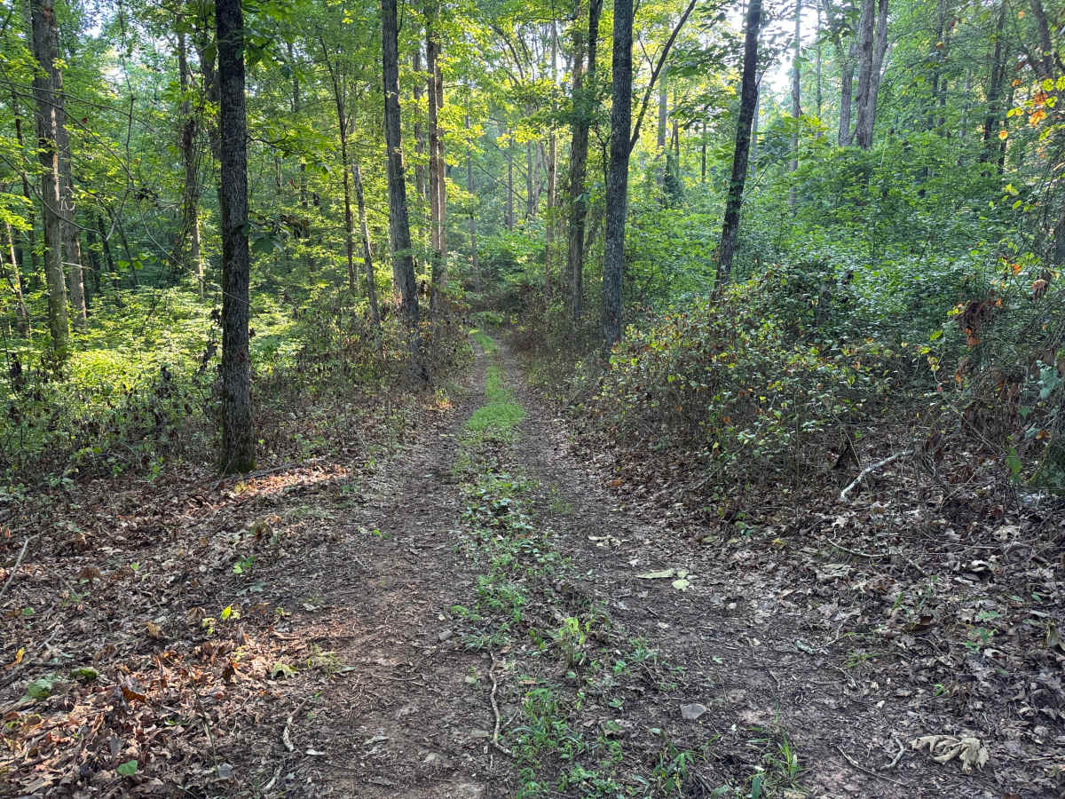 Little Bee Ridge photo 4
