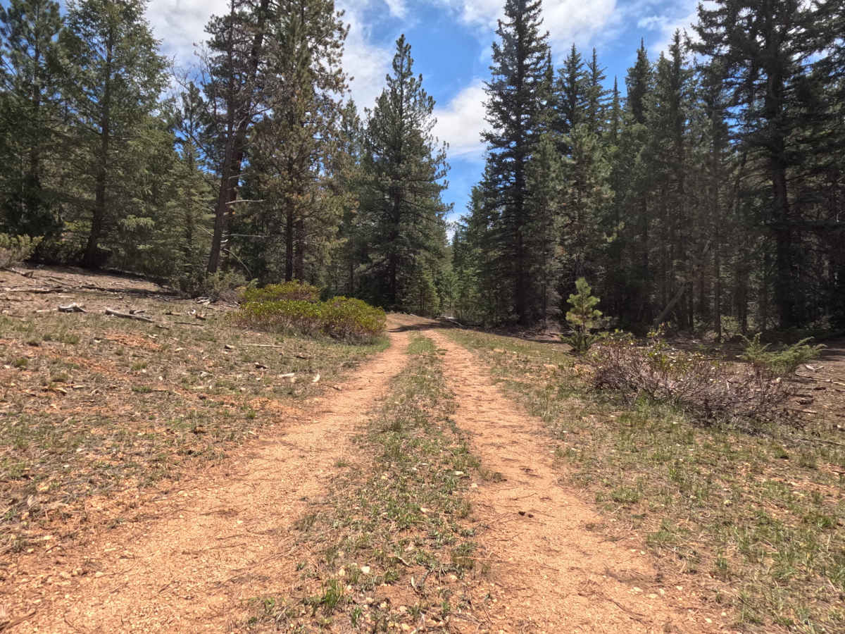 Long Hollow South - FS 31131 photo 6