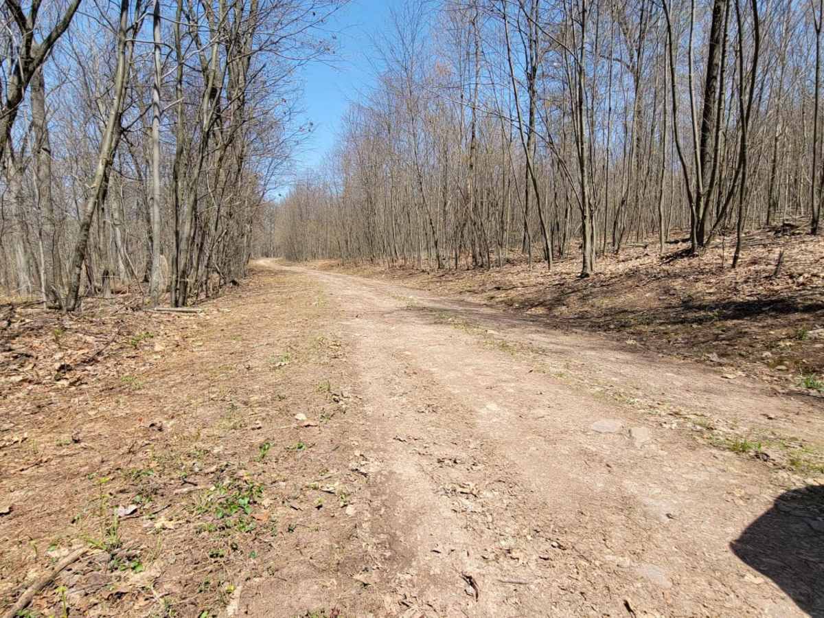 Flat Trail photo 4