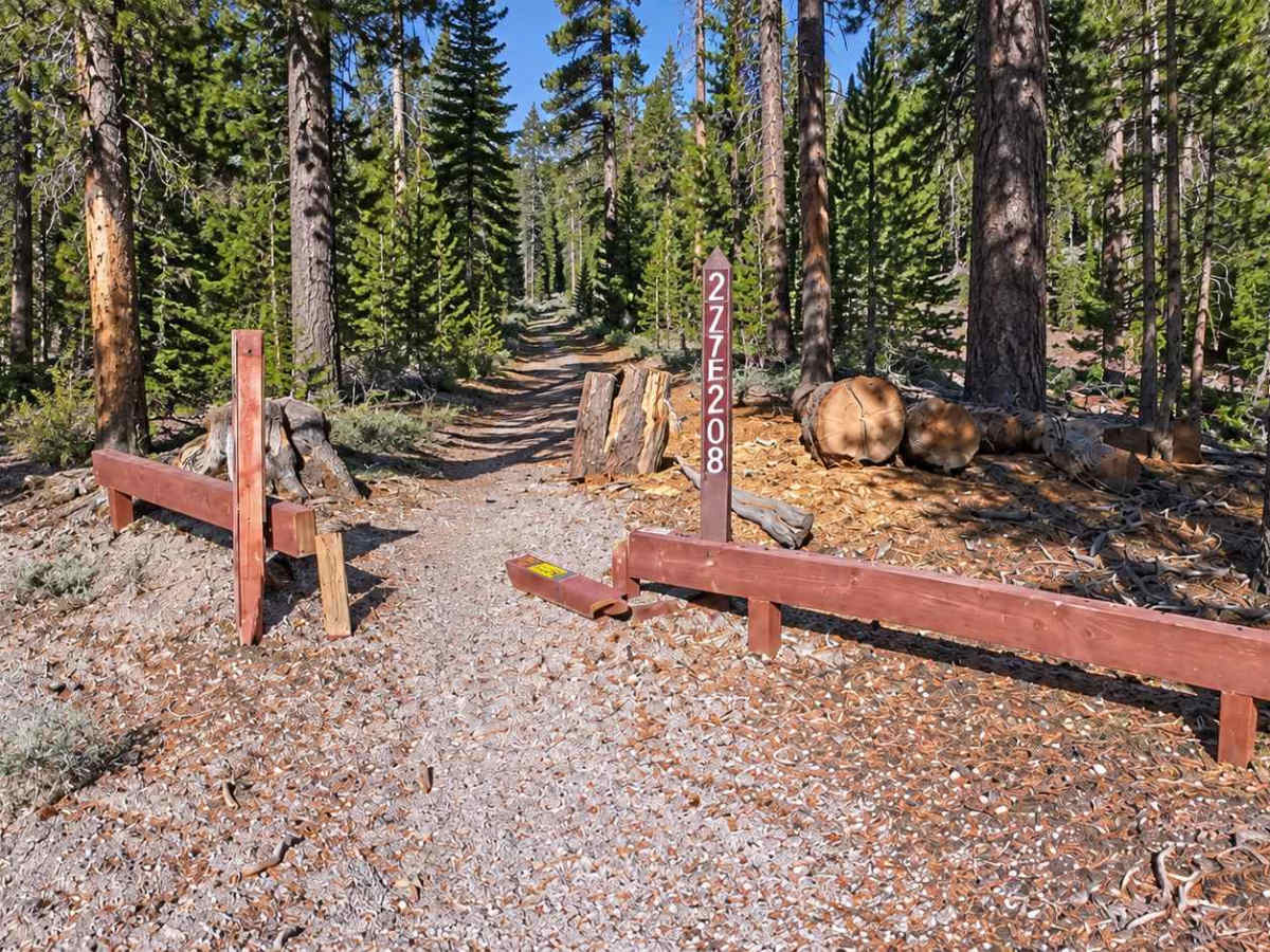 FS 27E208 trail photo