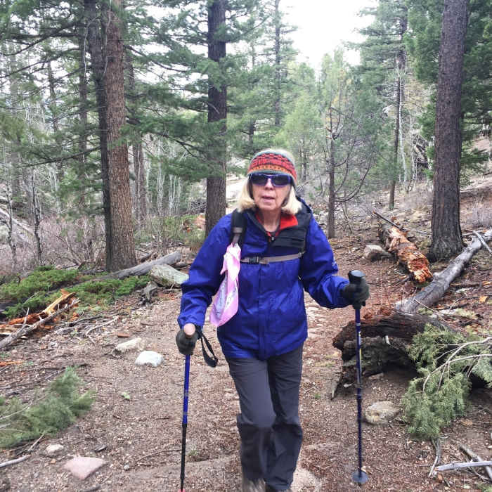 Near Lumpy Ridge Short Loop