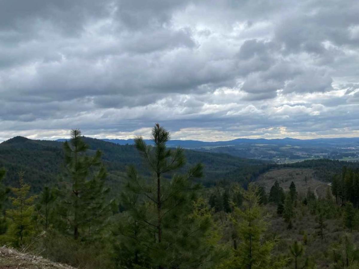 Little Sand Mountain photo 5