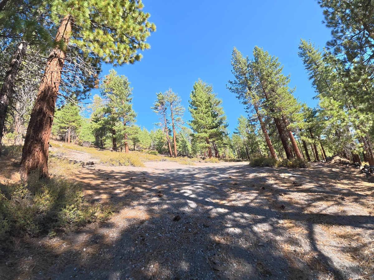FS 2S03B trail photo