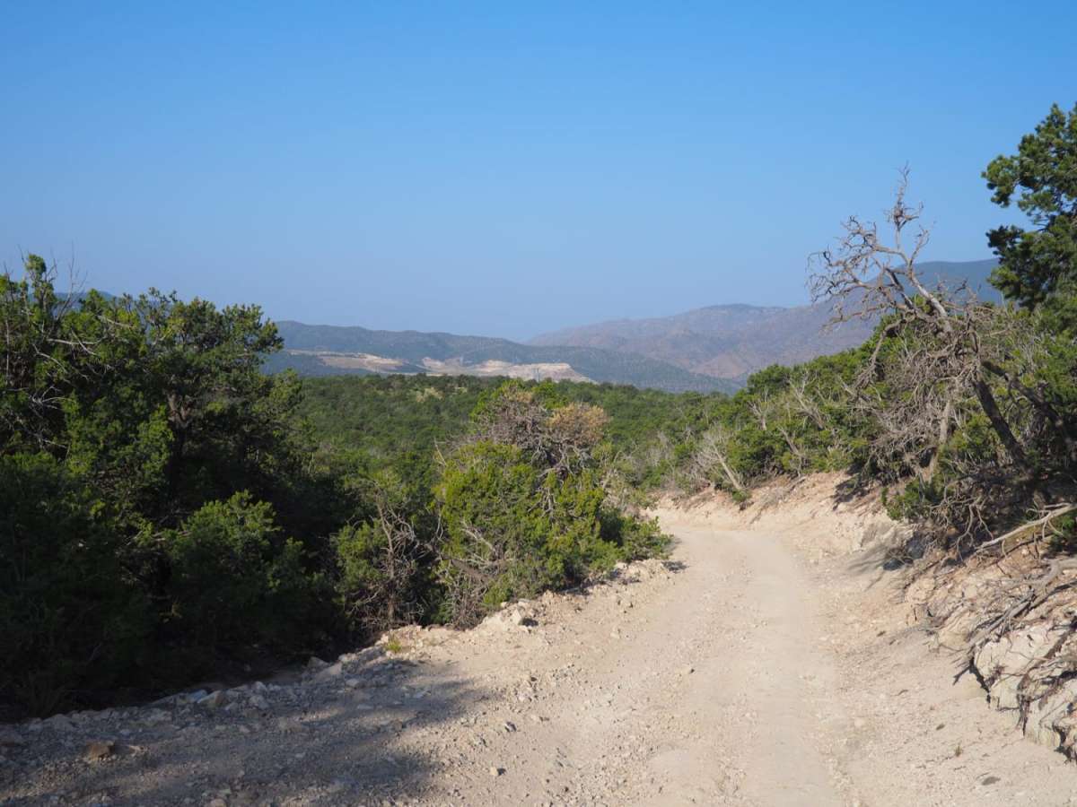 Coyote Mesa Trail photo 6
