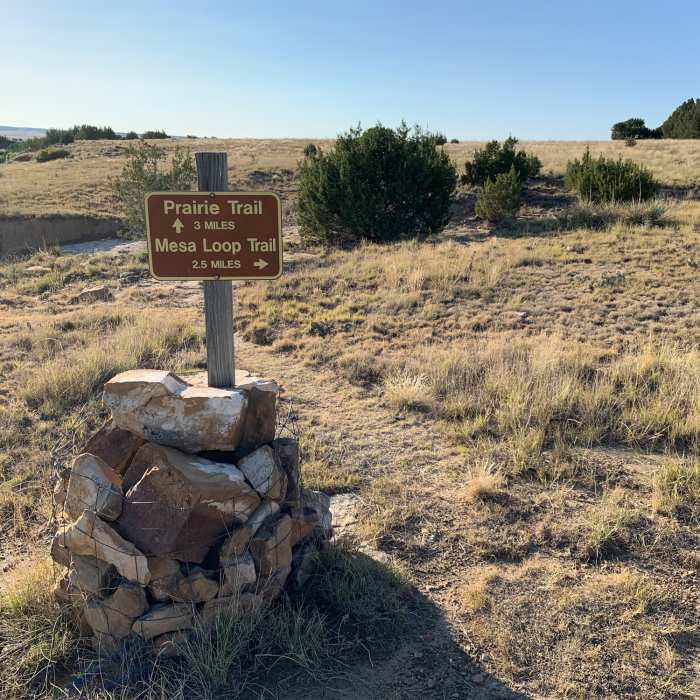 Near Vogel Canyon Loop